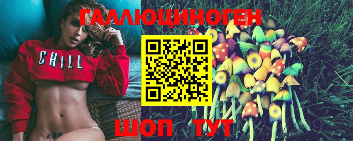 Галлюциногенные грибы Psilocybe Шатура