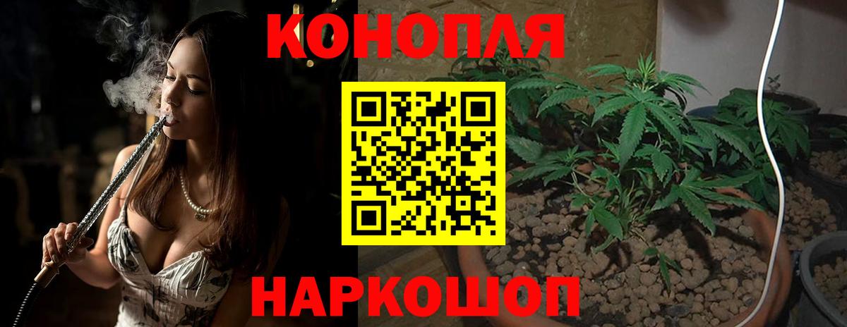 Каннабис марихуана Шатура